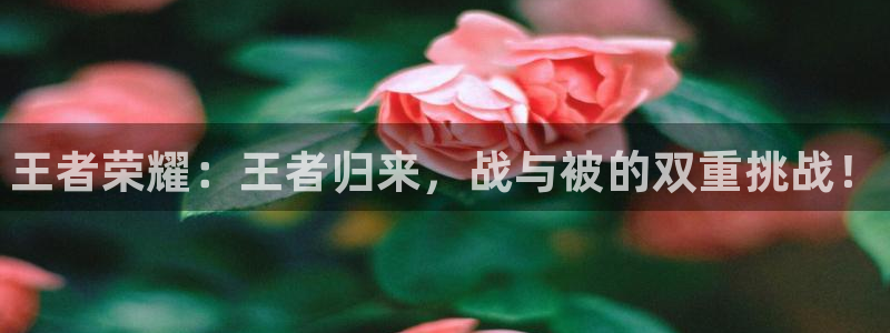 蓝冠娱乐平台注册资金多少：王者荣耀：王者归来，战与被的双重挑