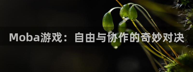 蓝冠娱乐注册登录平台：Moba游戏：自由与协作的奇妙对决