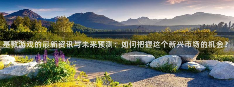 蓝冠娱乐游戏：基敦游戏的最新资讯与未来预测：如何把握这个新兴