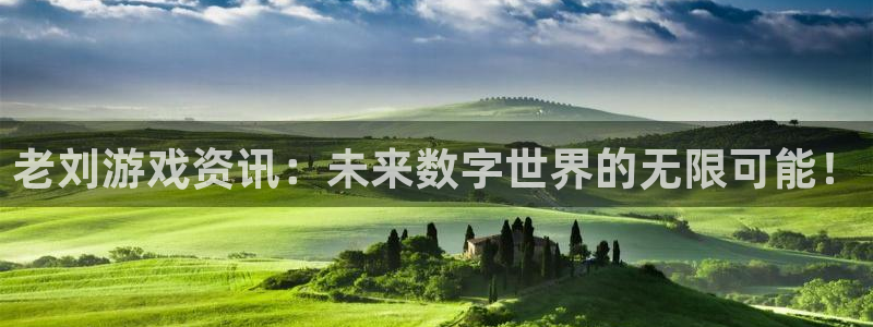 蓝冠娱乐科技：老刘游戏资讯：未来数字世界的无限可能！