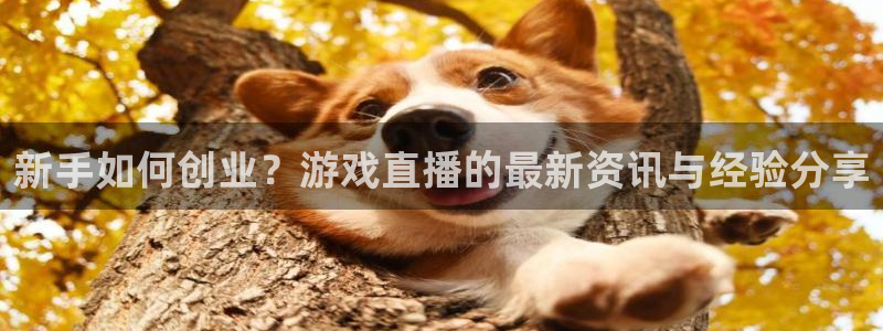 蓝冠娱乐下载：新手如何创业？游戏直播的最新资讯与经验分享