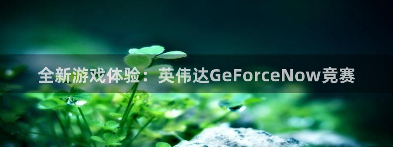 蓝冠娱乐登陆测速：全新游戏体验：英伟达GeForceNow竞