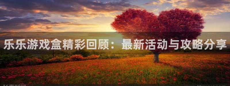 蓝冠娱乐：乐乐游戏盒精彩回顾：最新活动与攻略分享