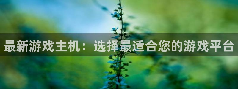 蓝冠娱乐平台登录：最新游戏主机：选择最适合您的游戏平台