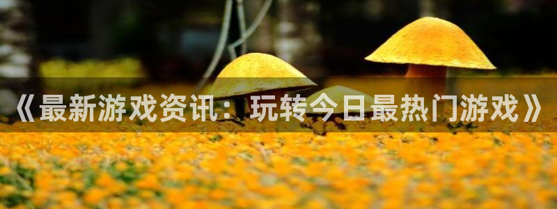 蓝冠娱乐app：《最新游戏资讯：玩转今日最热门游戏》