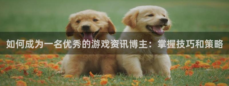 蓝冠娱乐娱乐：如何成为一名优秀的游戏资讯博主：掌握技巧和策略