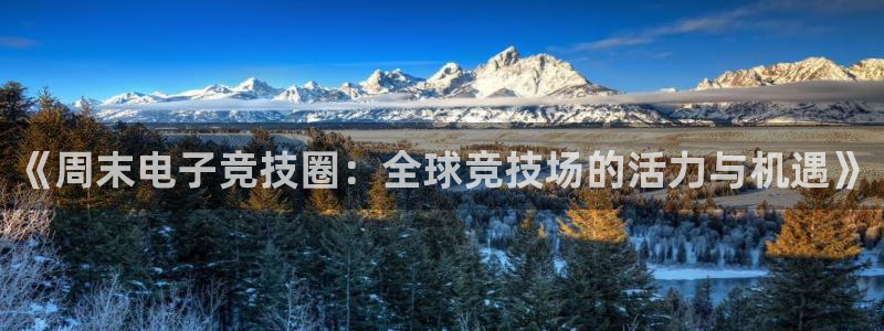 蓝冠娱乐Ii：《周末电子竞技圈：全球竞技场的活力与机遇》