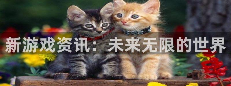 蓝冠娱乐平台登录线路：新游戏资讯：未来无限的世界