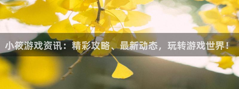 蓝冠娱乐网址注册：小筱游戏资讯：精彩攻略、最新动态，玩转游戏