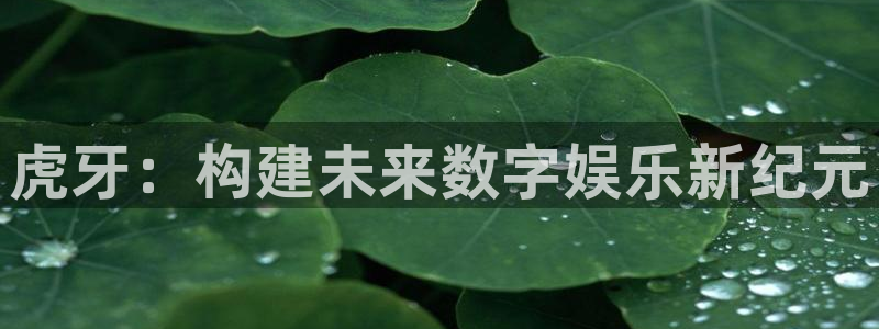 188看球直播官网入口