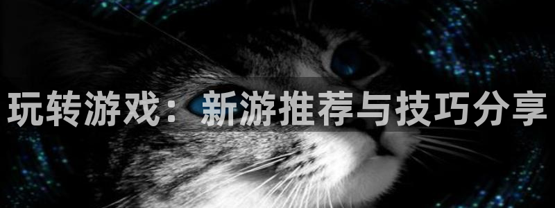 蓝冠娱乐官网