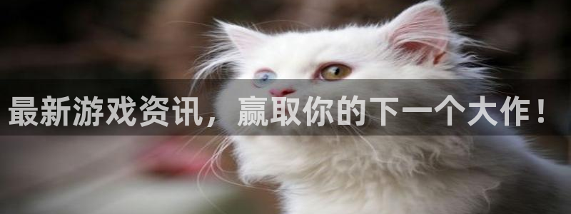 蓝冠招商首页官网：最新游戏资讯，赢取你的下一个大作！