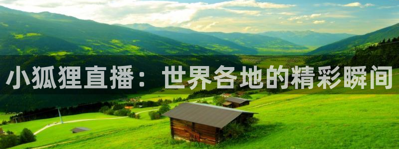 足球直播_篮球直播_免费在线看 | 88看球：小狐狸直播：世界各地的精彩瞬间