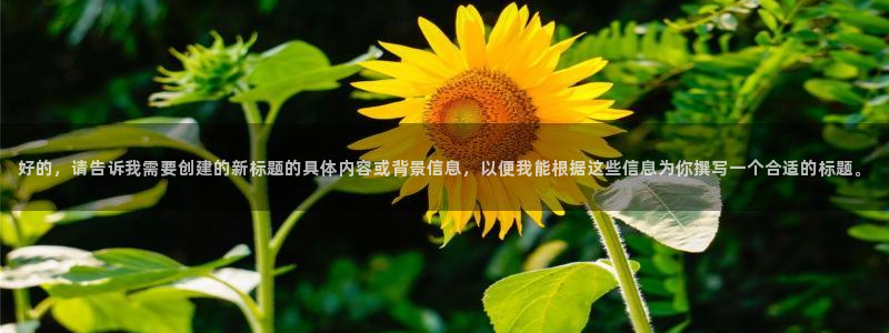 88看球网免费nba直播吧：好的，请告诉我需要创建的新标题的具体内容或背景信息，以便我能根据这些信息为你撰写一个合适的标题。