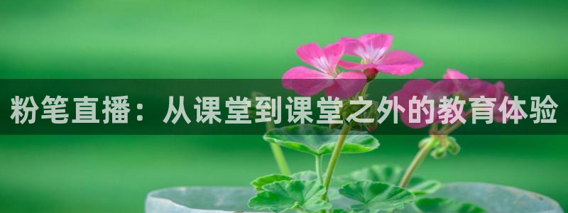 足球直播_篮球直播_免费在线看 | 88看球：粉笔直播：从课堂到课堂之外的教育体验